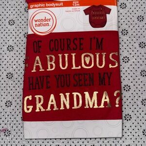 🛍NWT 🛍CUTE LITTLE BABIES ONESIE SIZE 12